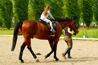 escursioni e trekking a cavallo
